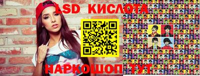 стаф Краснодар