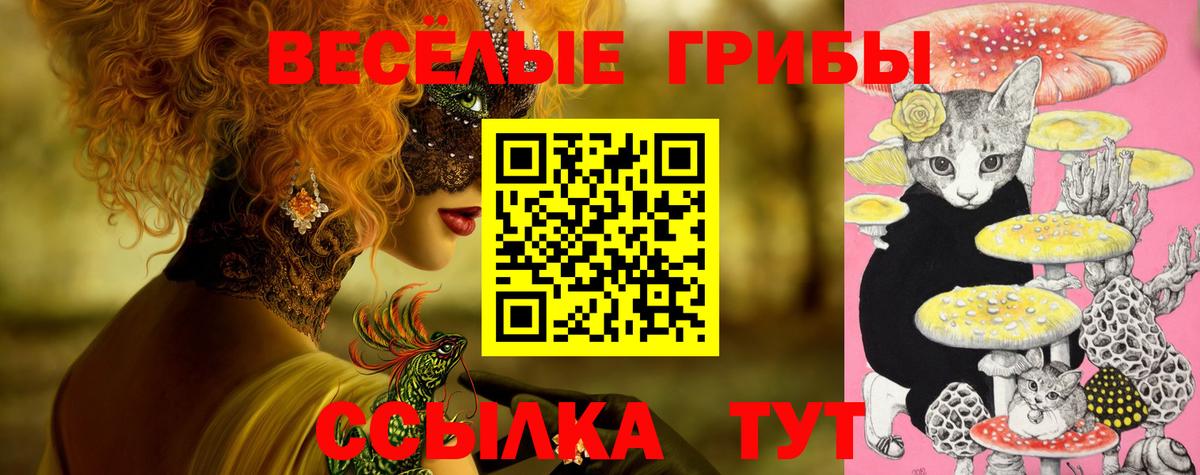 Галлюциногенные грибы мицелий Каспийск