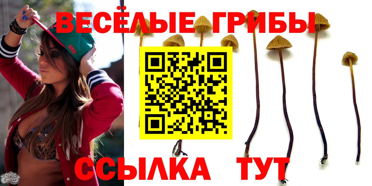 Псилоцибиновые грибы MAGIC MUSHROOMS  Вход с VPN  Каспийск  Галлюциногенные грибы ЛСД 